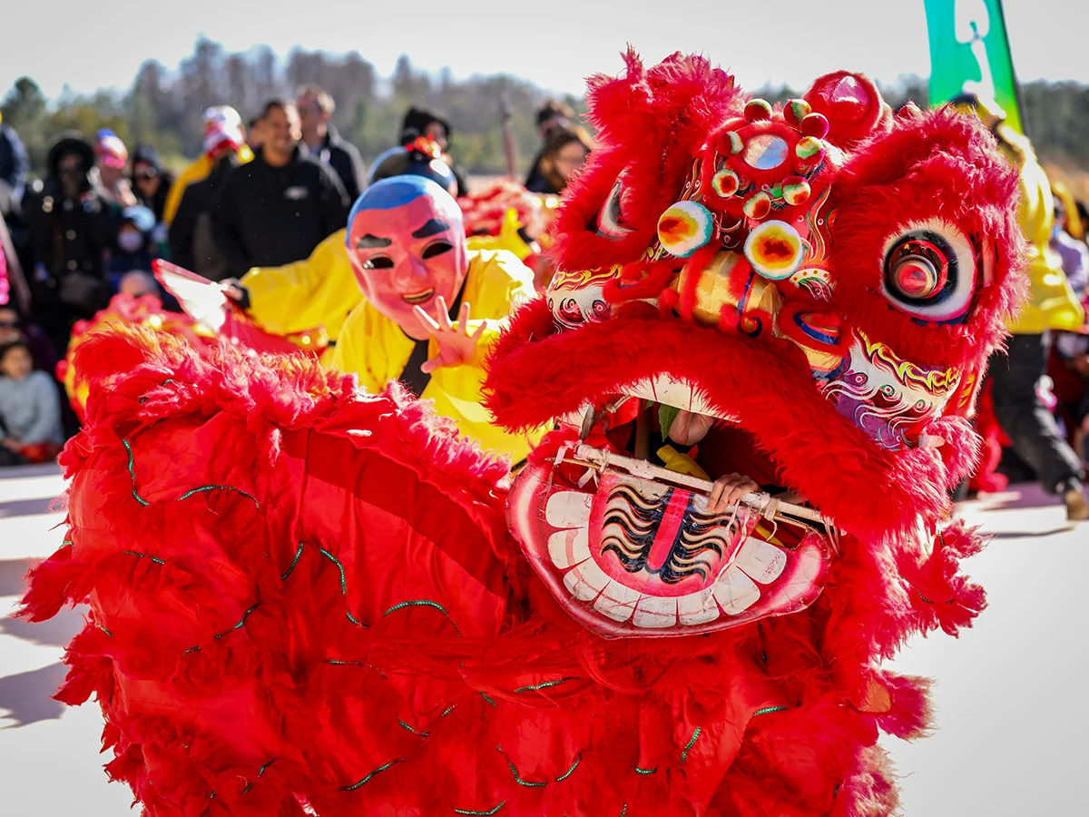 Year of the Fire Horse